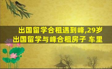 出国留学合租遇到峰,29岁出国留学与峰合租房子 车里